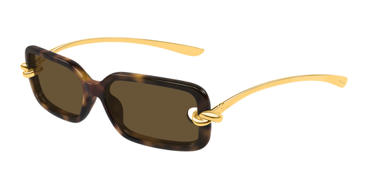 Bottega Veneta BV1439S-002